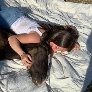 Meet your Posher, Santana